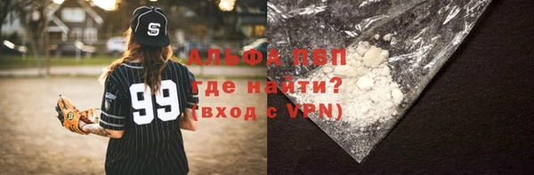 прущие грибы Арсеньев