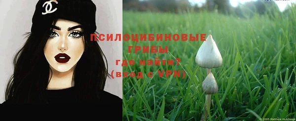 apvp Армянск