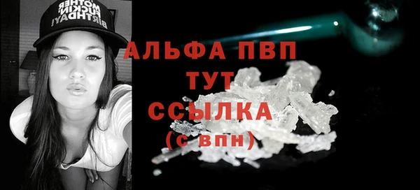 прущие грибы Арсеньев