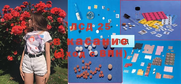 прущие грибы Арсеньев