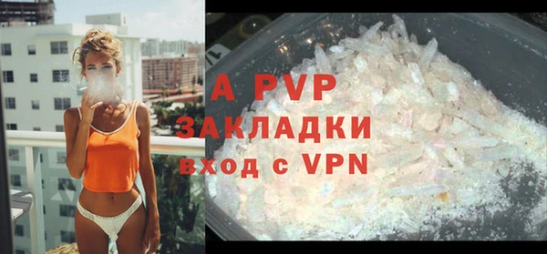 прущие грибы Арсеньев