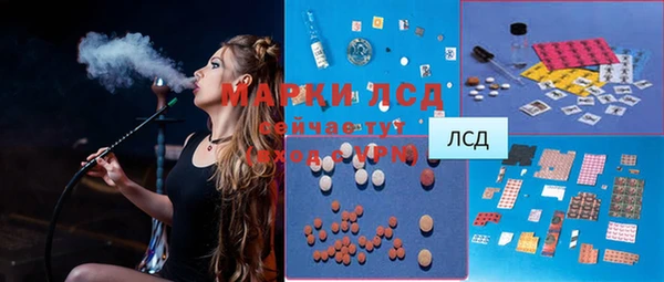 прущие грибы Арсеньев