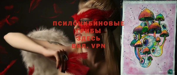 apvp Армянск