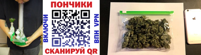 Канабис план Бабаево